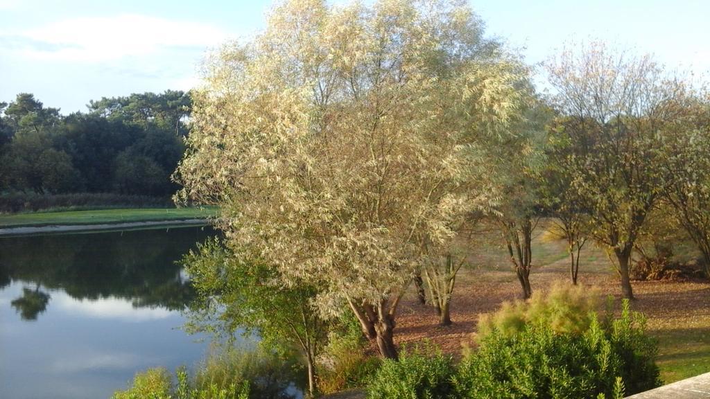 Studio Avec Vue Sur Lac Talmont-Saint-Hilaire Ngoại thất bức ảnh